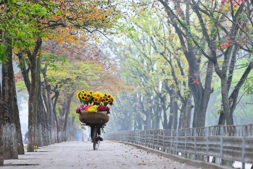 Explore Hanoi like a local? Why not